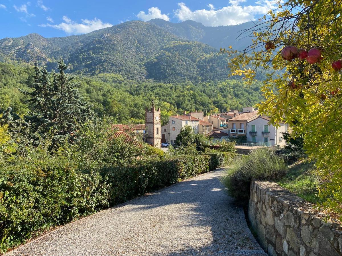 Appartement Et Studio Les Glycines Clara Εξωτερικό φωτογραφία